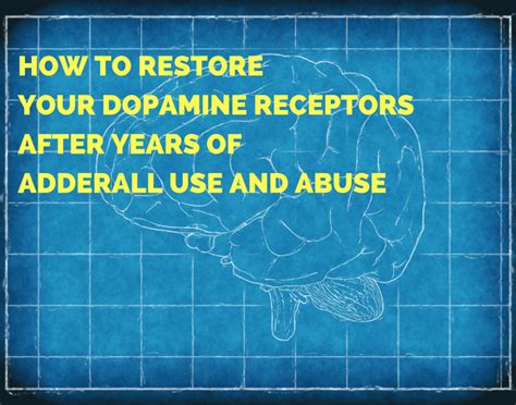 Assuming I&39;ve been taking 60mg per day 5 days per week for the past year how long would it take to recover. . How long does it take for dopamine receptors to recover reddit